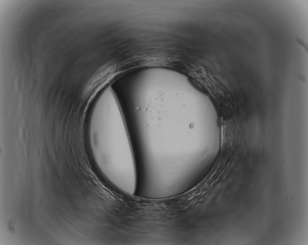 X0000097500243200802220848