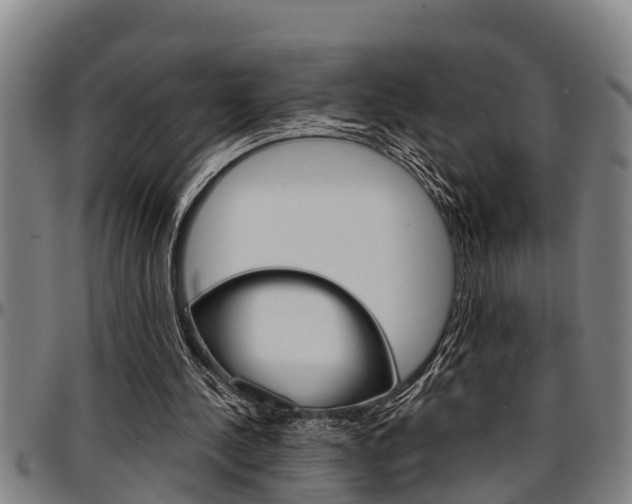 X0000097500244200802220848