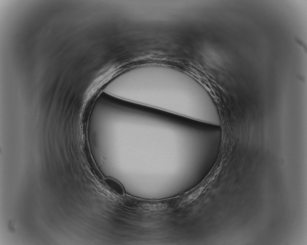 X0000097500245200802220848