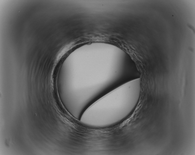 X0000097500246200802220848