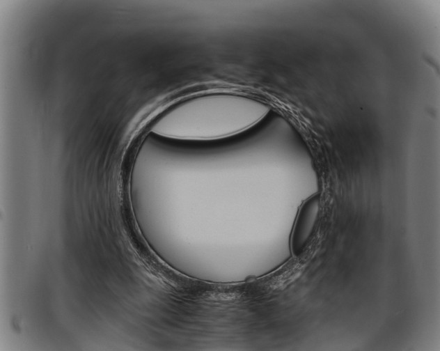 X0000097500247200802220848