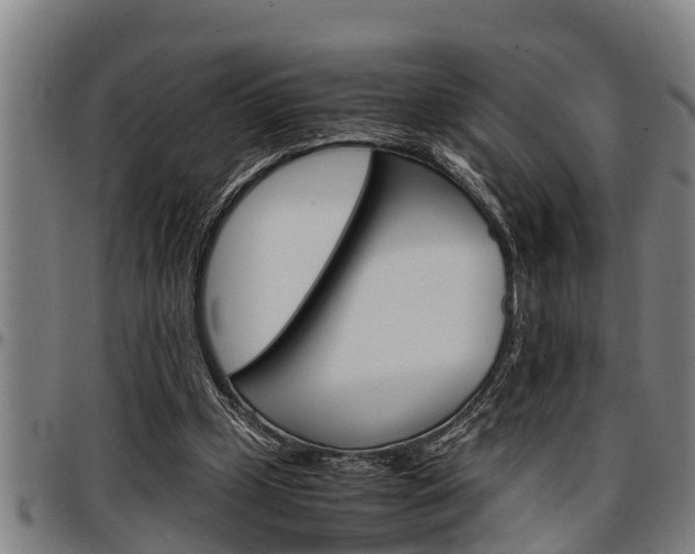 X0000097500249200802220848