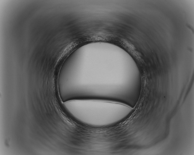 X0000097500250200802220848