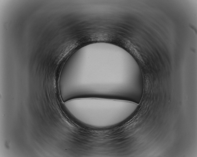X0000097500251200802220848