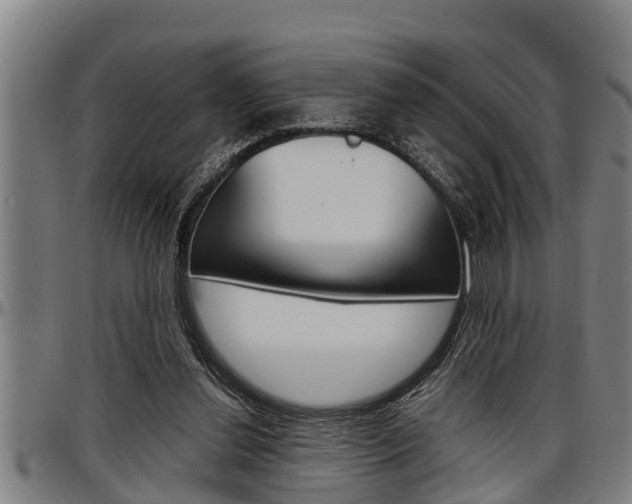 X0000097500252200802220848