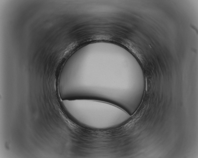 X0000097500253200802220848