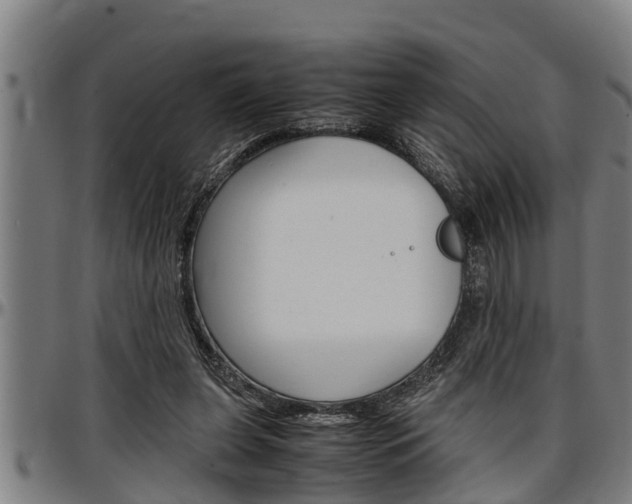 X0000097500255200802220848