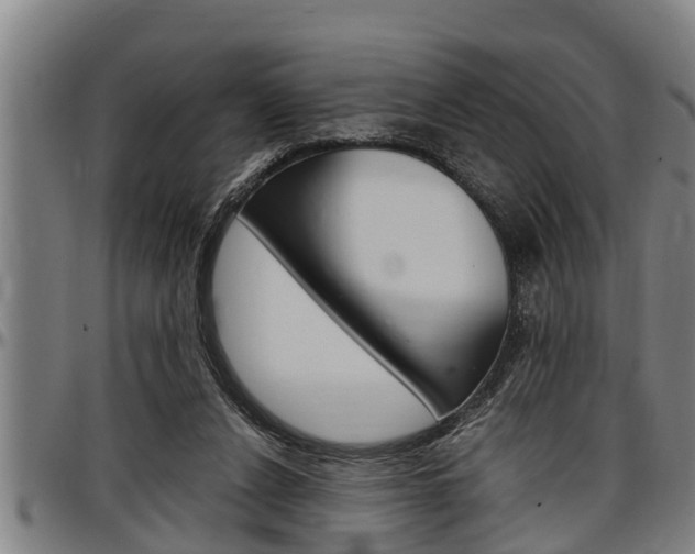 X0000097500256200802220848