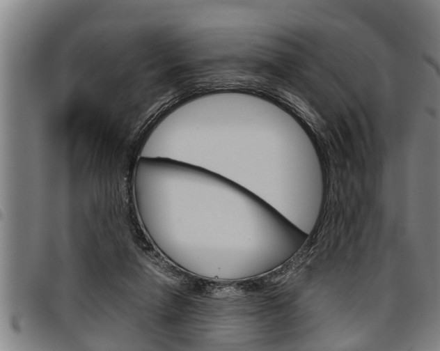 X0000097500258200802220848