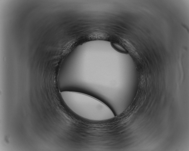 X0000097500259200802220848