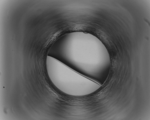 X0000097500260200802220848