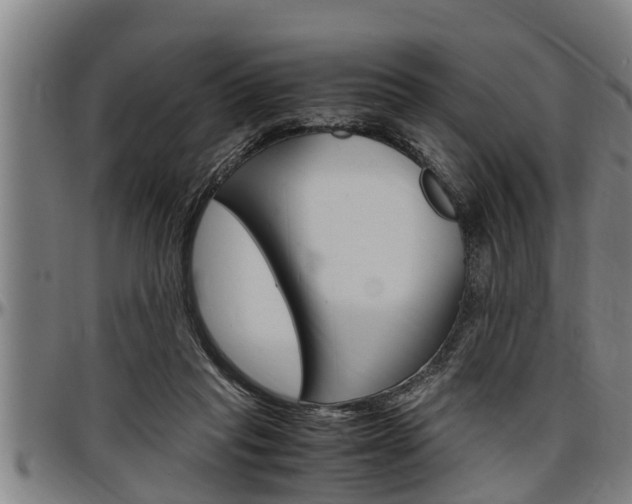 X0000097500261200802220848
