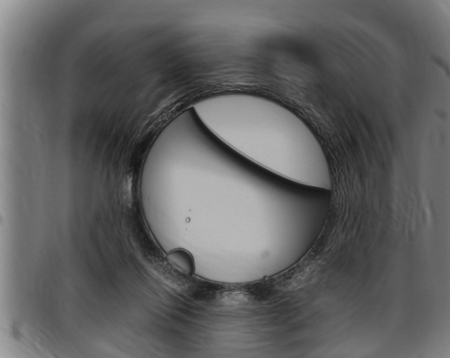 X0000097500262200802220848