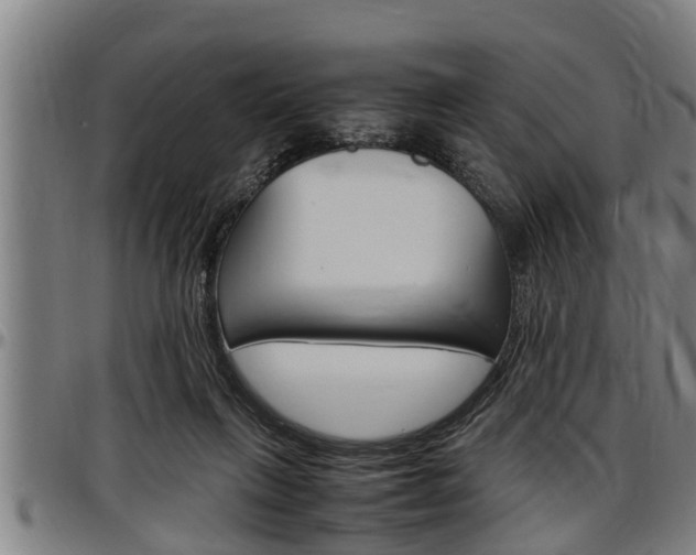 X0000097500263200802220849