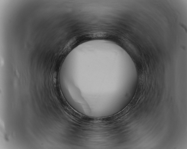 X0000097500264200802220849