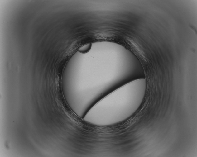 X0000097500265200802220849