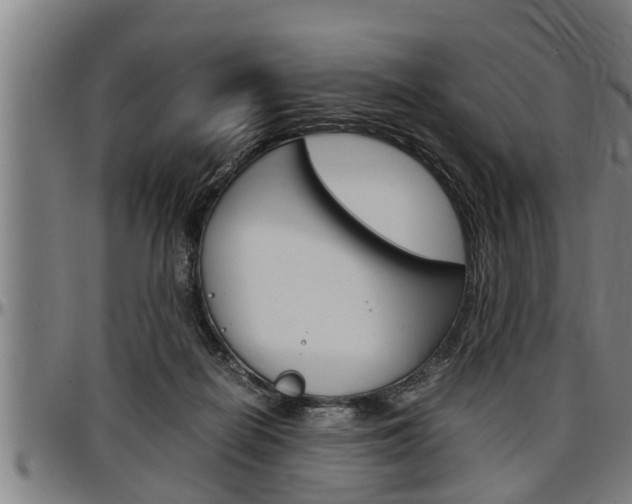 X0000097500266200802220849