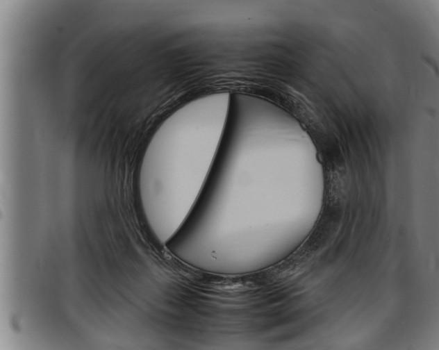 X0000097500267200802220849