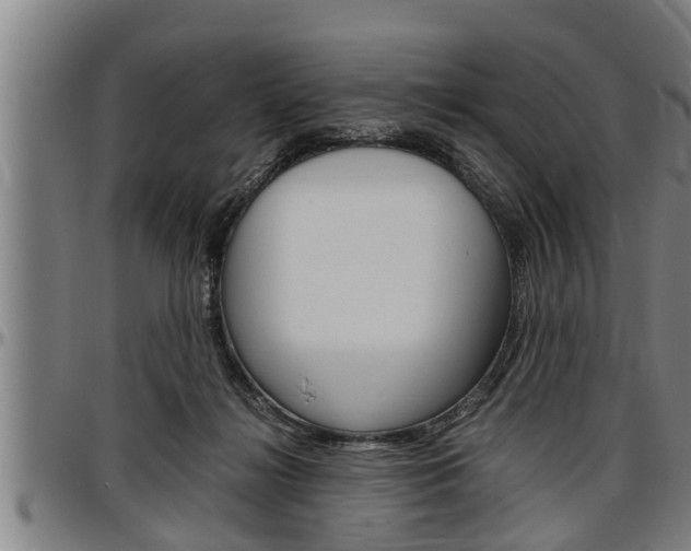X0000097500268200802220849