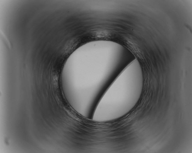 X0000097500269200802220849