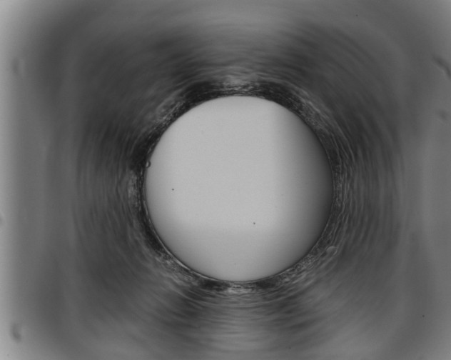 X0000097500270200802220849