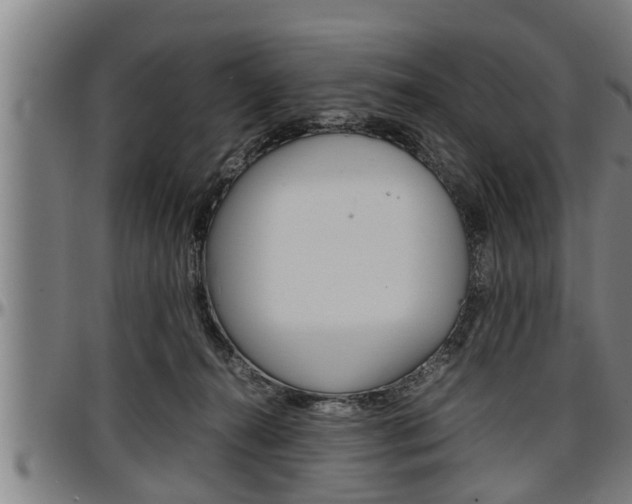 X0000097500272200802220849