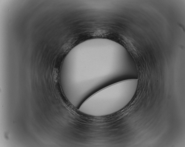 X0000097500273200802220849