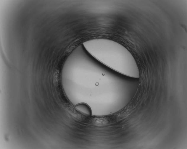 X0000097500275200802220849