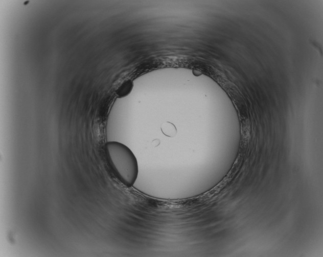 X0000097500276200802220849