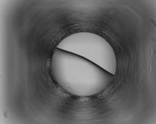X0000097500278200802220849