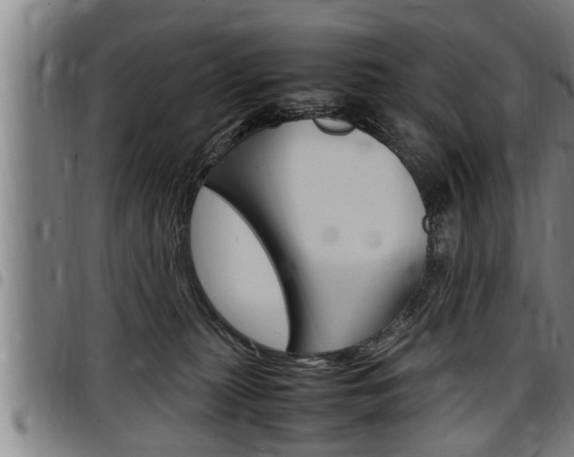 X0000097500279200802220849