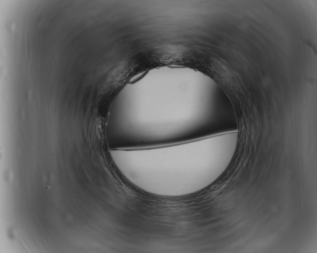 X0000097500280200802220849