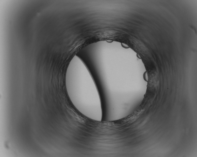 X0000097500282200802220849