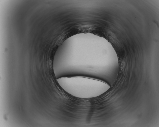 X0000097500283200802220849