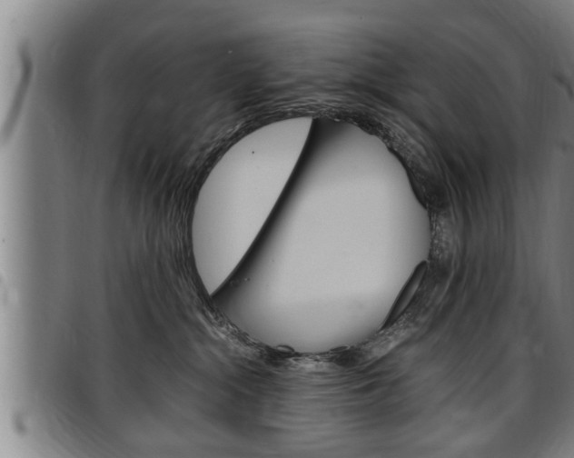 X0000097500284200802220849