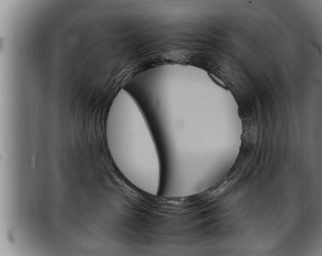 X0000097500285200802220849
