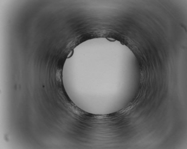 X0000097500286200802220849