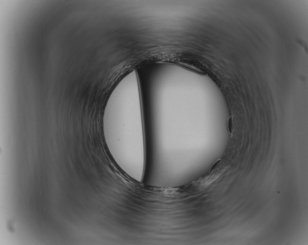 X0000097500288200802220849
