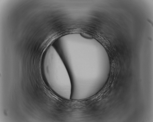 X0000097500290200802220848