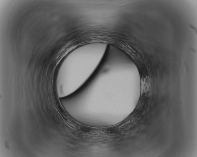 X0000097500291200802220848