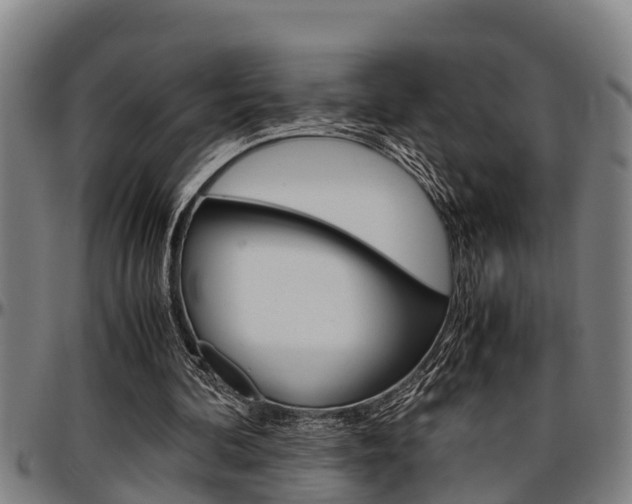 X0000097500292200802220848