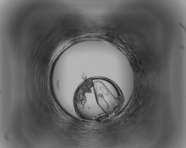X0000097500293200802220848