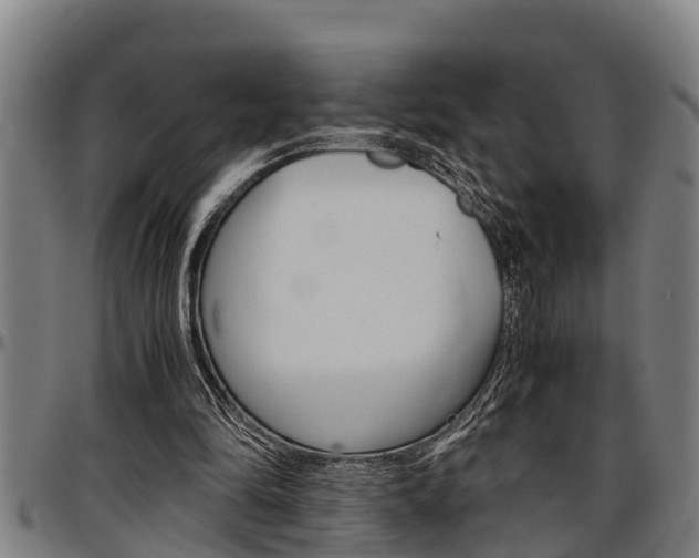 X0000097500294200802220848
