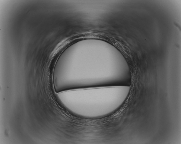 X0000097500295200802220848
