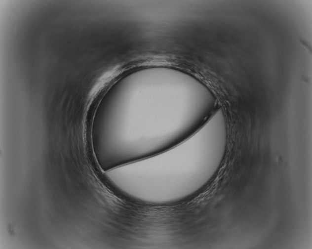 X0000097500296200802220848