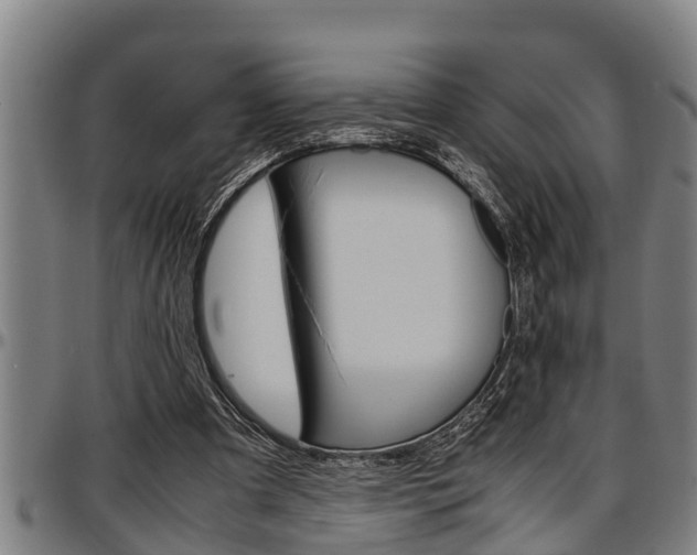 X0000097500297200802220848