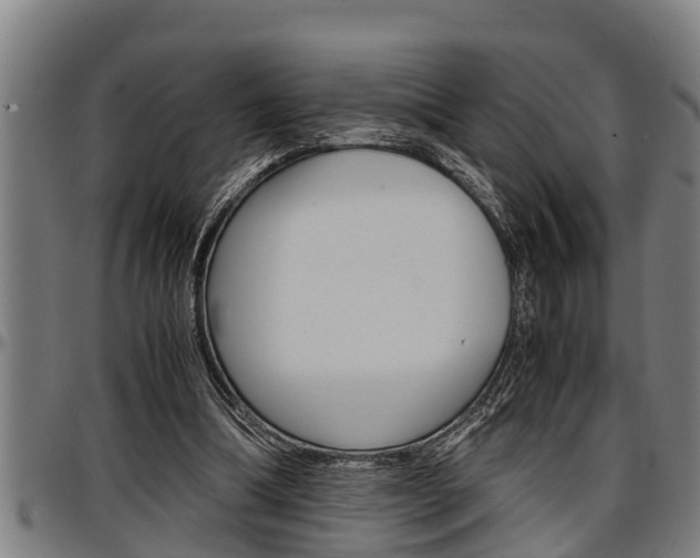 X0000097500298200802220848