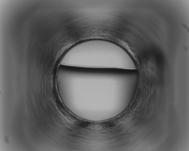 X0000097500299200802220848