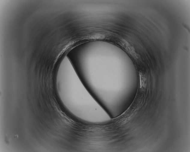 X0000097500300200802220848