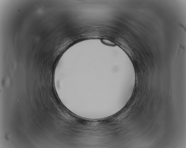 X0000097500301200802220848